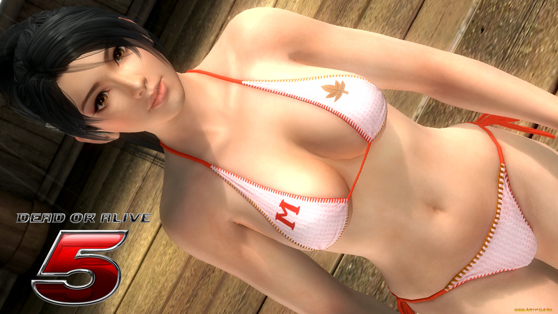  , dead or alive 5, , , 